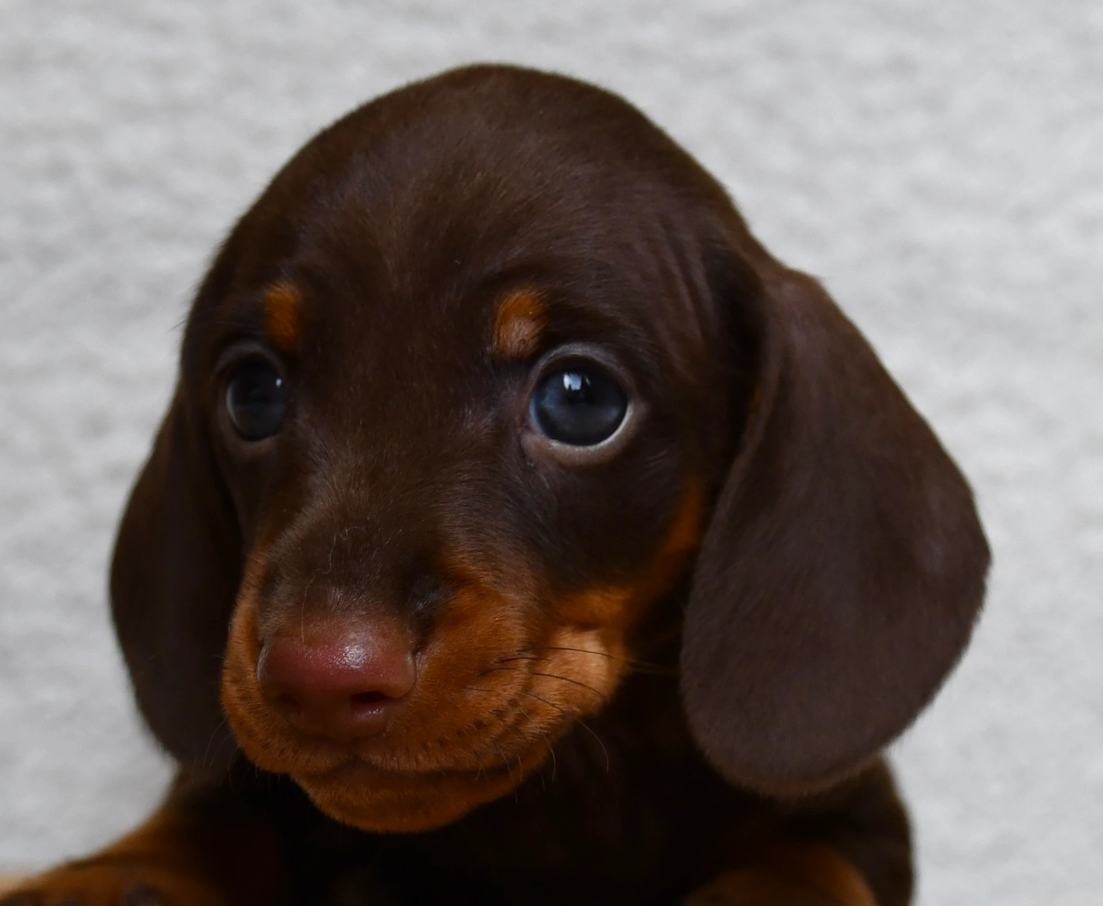 Photo de profil de Bruno