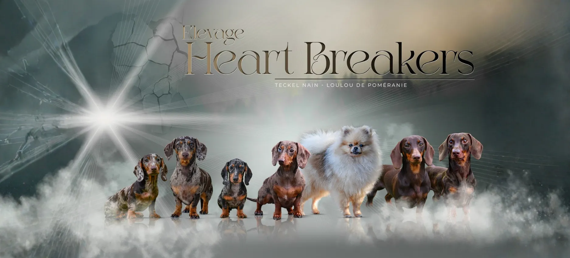 Banner Heart Breakers