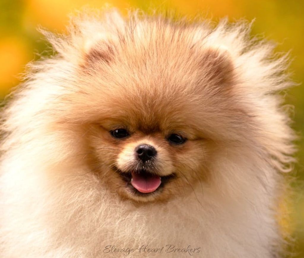 Photo de profil de Arisha
