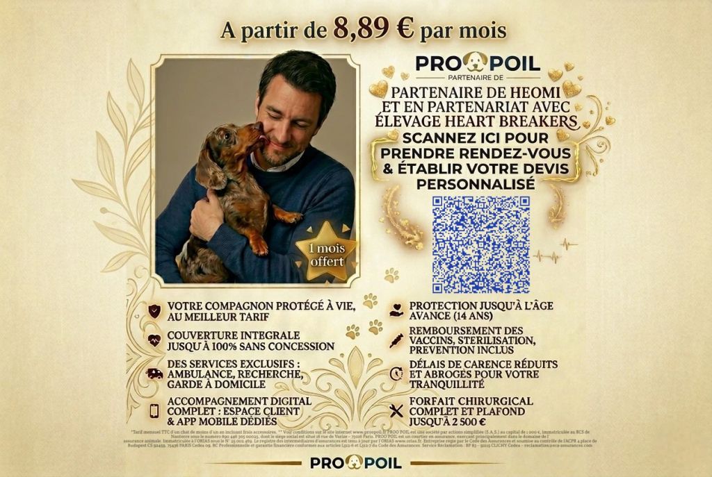 Assurance Chien : Protégez Votre Chiot Dès L'adoption